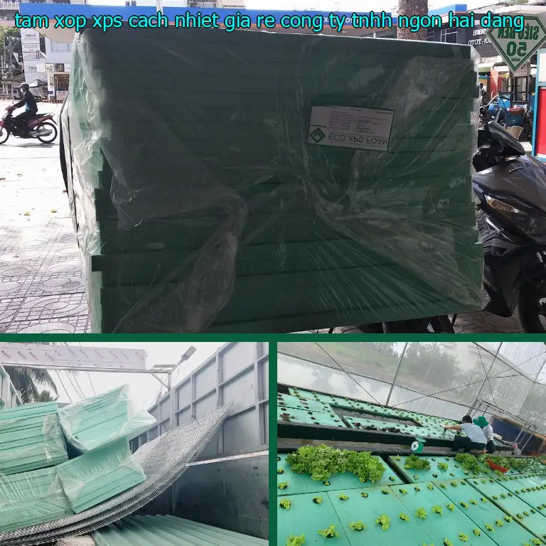Tấm xốp XPS cách nhiệt giá rẻ Công ty TNHH Ngọn Hải Đăng