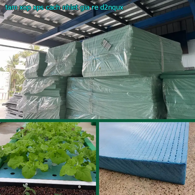 Tấm xốp XPS cách nhiệt giá rẻ D2NQUX