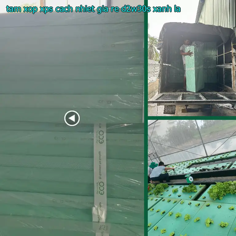 Màu sắc tấm xốp XPS cách nhiệt giá rẻ D2W30S: Xanh lá