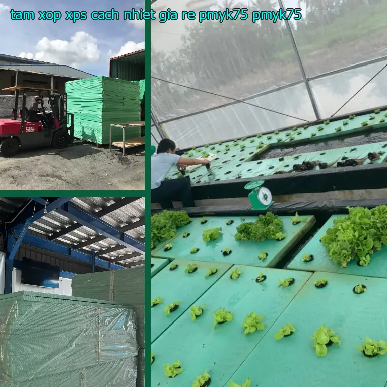 Model tấm xốp XPS cách nhiệt giá rẻ PMYK75: PMYK75 Model tấm xốp XPS cách nhiệt giá rẻ PMYK75: PMYK75