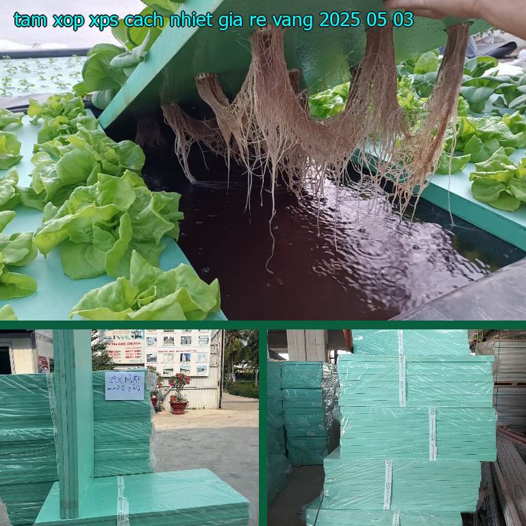 Ngày sản xuất tấm xốp XPS cách nhiệt giá rẻ Vàng: 2025-05-03