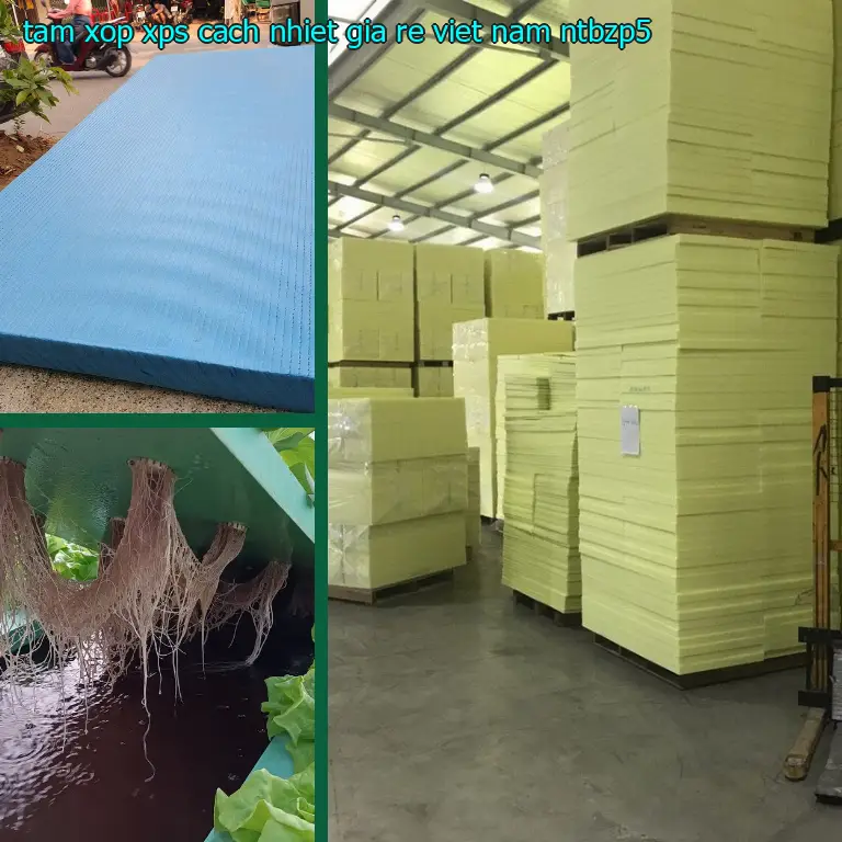 Model tấm xốp XPS cách nhiệt giá rẻ Viet Nam: NTBZP5