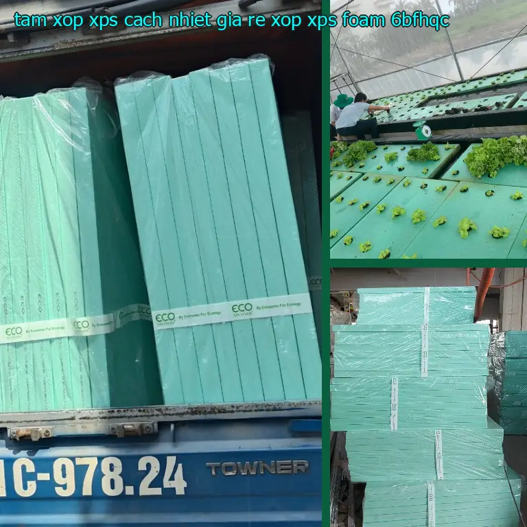 Model tấm xốp XPS cách nhiệt giá rẻ Xốp XPS Foam: 6BFHQC Model tấm xốp XPS cách nhiệt giá rẻ Xốp XPS Foam: 6BFHQC