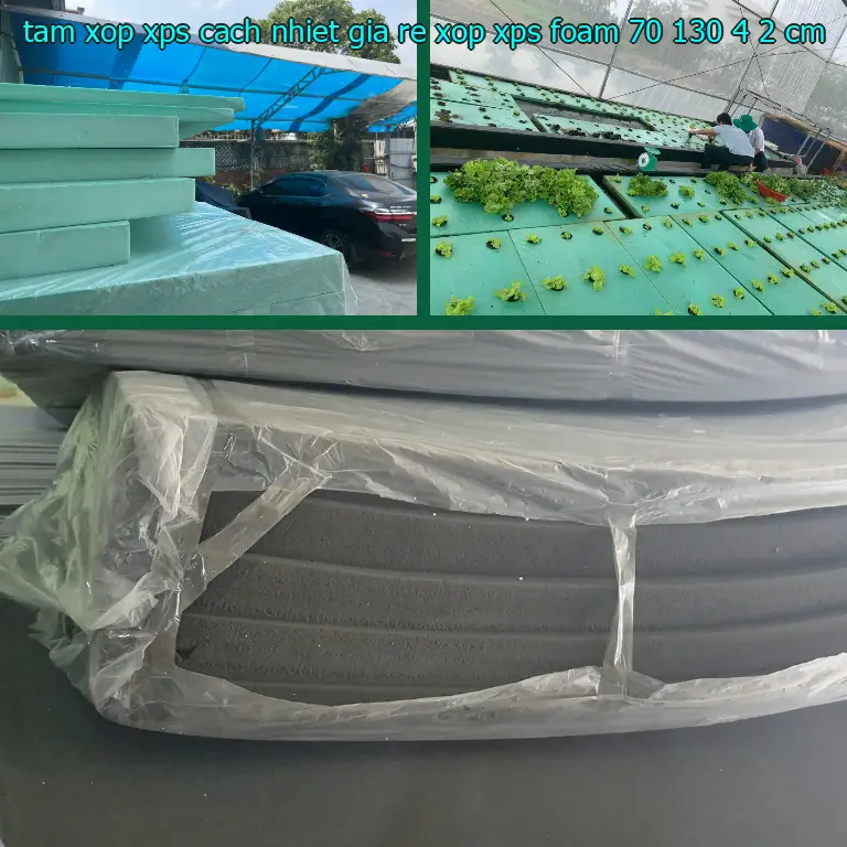 Kích thước tấm xốp XPS cách nhiệt giá rẻ Xốp XPS Foam: 70*130*4.2 cm Kích thước tấm xốp XPS cách nhiệt giá rẻ Xốp XPS Foam: 70*130*4.2 cm