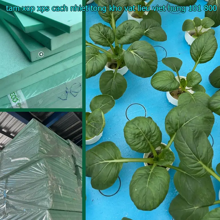 Giá tấm xốp XPS cách nhiệt Tổng kho vật liệu Việt Hưng: 101.800₫ Giá tấm xốp XPS cách nhiệt Tổng kho vật liệu Việt Hưng: 101.800₫
