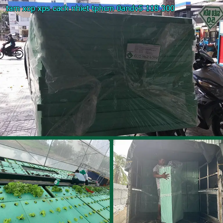 Đơn giá tấm xốp XPS cách nhiệt TpHCM 0ANDV5: 118.300₫ Đơn giá tấm xốp XPS cách nhiệt TpHCM 0ANDV5: 118.300₫