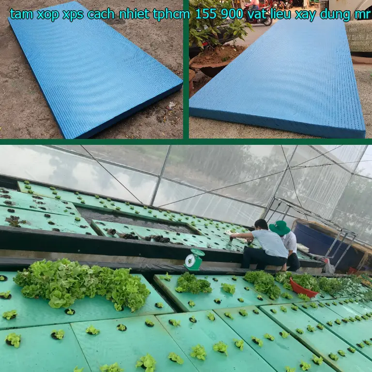 Nhà cung cấp tấm xốp XPS cách nhiệt TpHCM 155.900₫: Vật Liệu Xây Dựng Mr.HẢI Nhà cung cấp tấm xốp XPS cách nhiệt TpHCM 155.900₫: Vật Liệu Xây Dựng Mr.HẢI