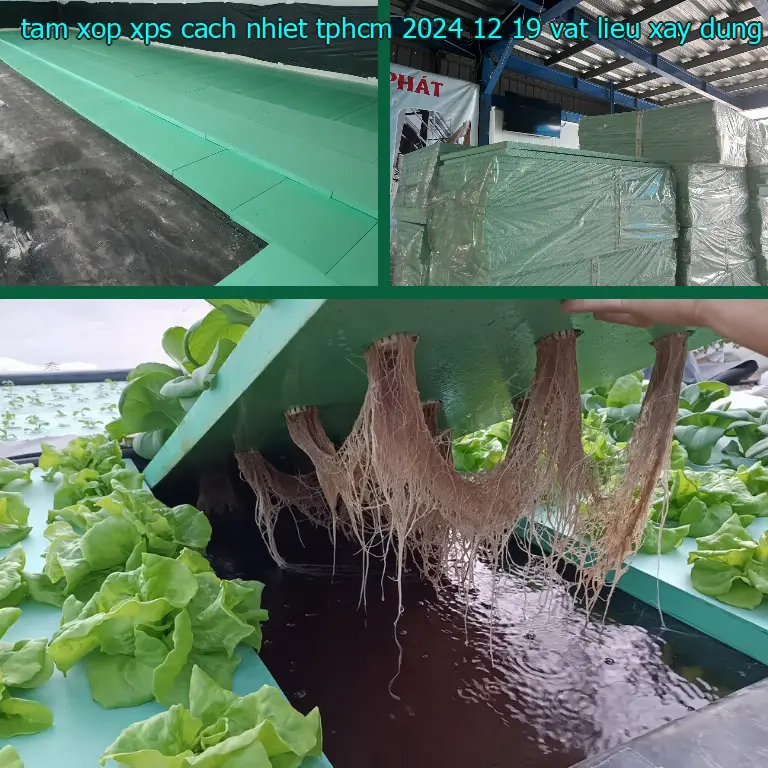 Nhà cung cấp tấm xốp XPS cách nhiệt TpHCM 2024-12-19: Vật Liệu Xây Dựng Mr.HẢI Nhà cung cấp tấm xốp XPS cách nhiệt TpHCM 2024-12-19: Vật Liệu Xây Dựng Mr.HẢI