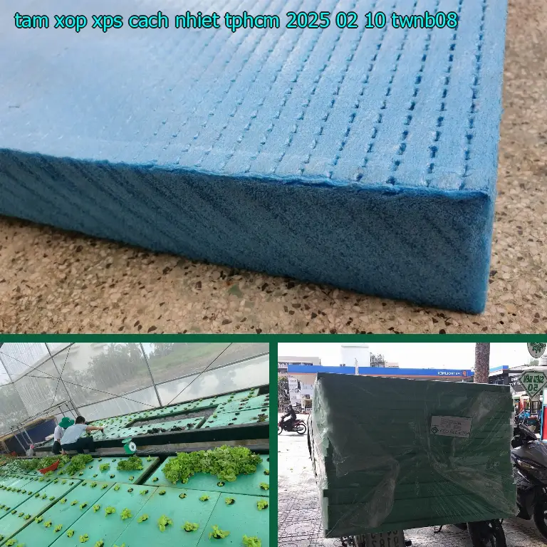 Model tấm xốp XPS cách nhiệt TpHCM 2025-02-10: TWNB08 Model tấm xốp XPS cách nhiệt TpHCM 2025-02-10: TWNB08