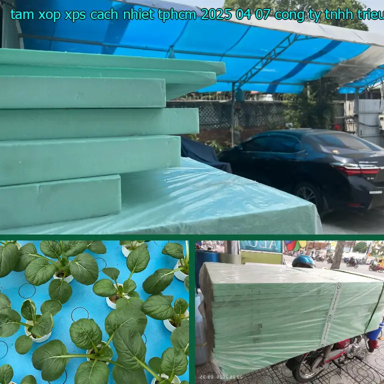 Nhà sản xuất tấm xốp XPS cách nhiệt TpHCM 2025-04-07: Công ty TNHH Triệu Hổ