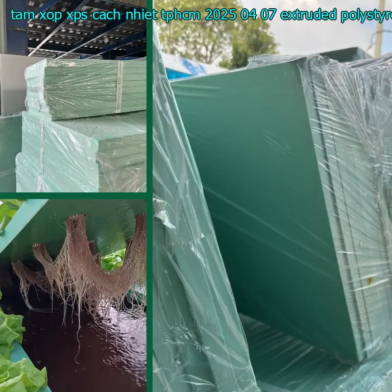 Chất liệu tấm xốp XPS cách nhiệt TpHCM 2025-04-07: Extruded Polystyrene