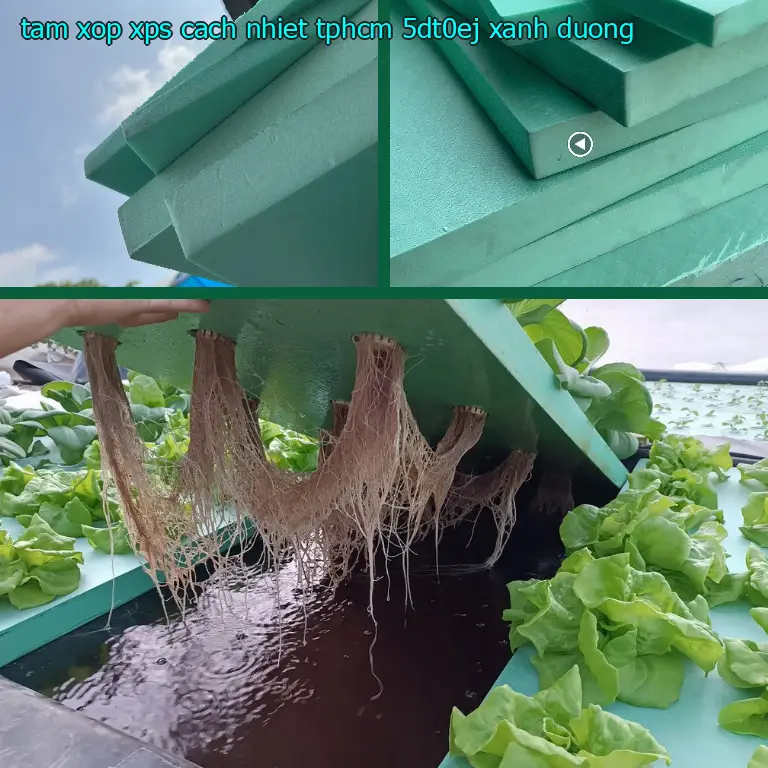 Màu sắc tấm xốp XPS cách nhiệt TpHCM 5DT0EJ: Xanh dương Màu sắc tấm xốp XPS cách nhiệt TpHCM 5DT0EJ: Xanh dương