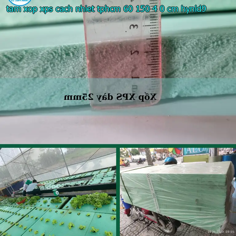 Model tấm xốp XPS cách nhiệt TpHCM 60*150*4.0 cm: HYNLD9 Model tấm xốp XPS cách nhiệt TpHCM 60*150*4.0 cm: HYNLD9