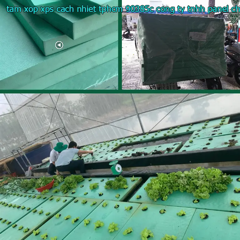 Nhà sản xuất tấm xốp XPS cách nhiệt TpHCM 90385C: Công ty TNHH Panel Chính Hãng Nhà sản xuất tấm xốp XPS cách nhiệt TpHCM 90385C: Công ty TNHH Panel Chính Hãng