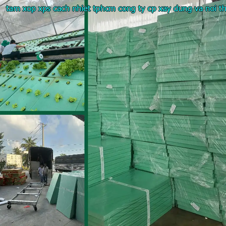 Ngày sản xuất tấm xốp XPS cách nhiệt TpHCM Công ty CP xây dựng và nội thất Remak: 2024-07-24 Ngày sản xuất tấm xốp XPS cách nhiệt TpHCM Công ty CP xây dựng và nội thất Remak: 2024-07-24