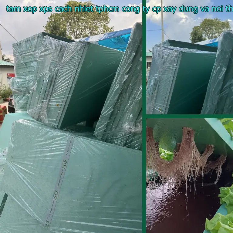 Nhà sản xuất tấm xốp XPS cách nhiệt TpHCM Công ty CP xây dựng và nội thất Remak: Công ty CP xây dựng và nội thất Remak Nhà sản xuất tấm xốp XPS cách nhiệt TpHCM Công ty CP xây dựng và nội thất Remak: Công ty CP xây dựng và nội thất Remak