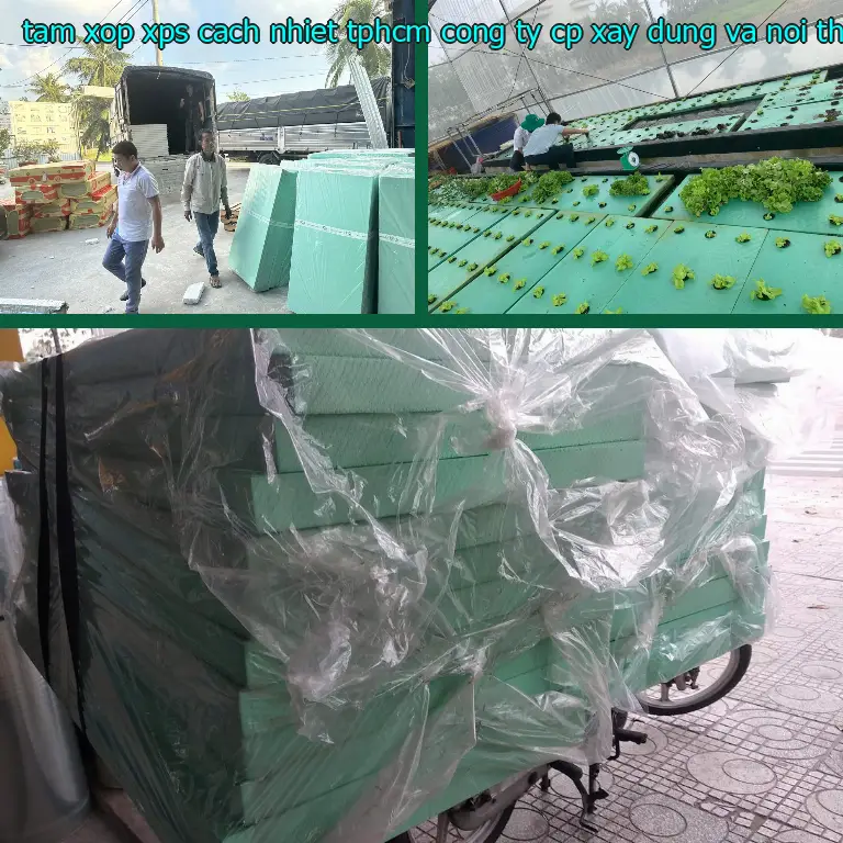 Danh mục tấm xốp XPS cách nhiệt TpHCM Công ty CP xây dựng và nội thất Remak: XPS Board Danh mục tấm xốp XPS cách nhiệt TpHCM Công ty CP xây dựng và nội thất Remak: XPS Board