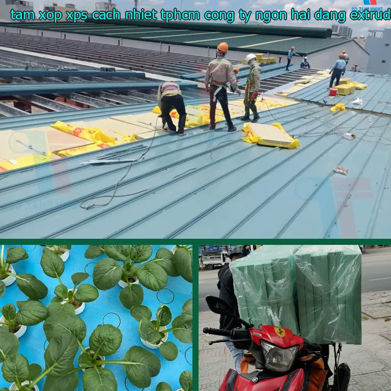 Chất liệu tấm xốp XPS cách nhiệt TpHCM Công ty Ngọn Hải Đăng: Extruded Polystyrene Foam Chất liệu tấm xốp XPS cách nhiệt TpHCM Công ty Ngọn Hải Đăng: Extruded Polystyrene Foam