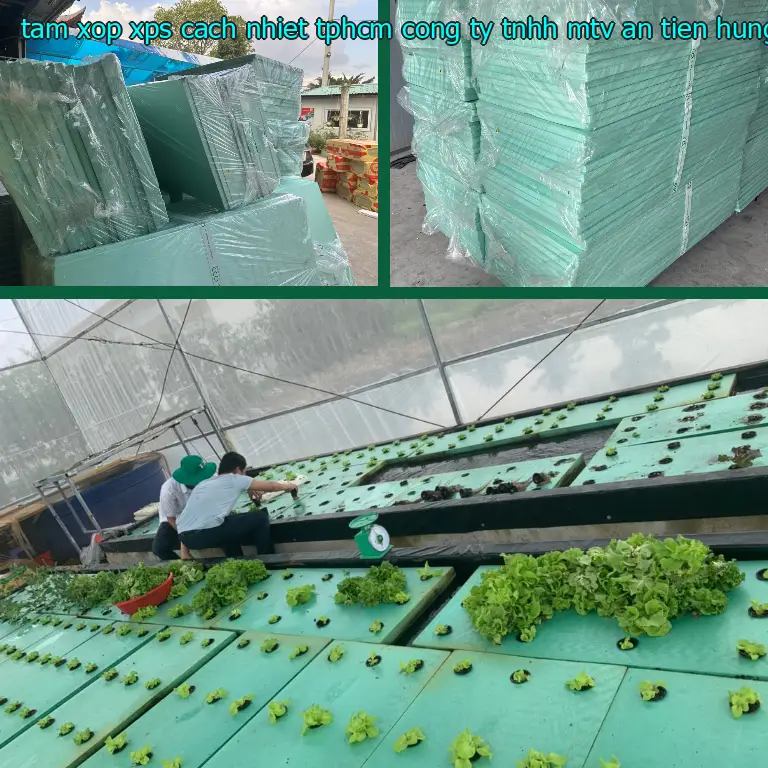 Ngày sản xuất tấm xốp XPS cách nhiệt TpHCM Công ty TNHH MTV An Tiến Hưng: 2024-10-12 Ngày sản xuất tấm xốp XPS cách nhiệt TpHCM Công ty TNHH MTV An Tiến Hưng: 2024-10-12