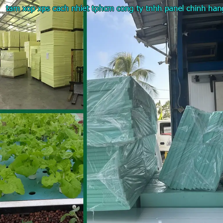 Danh mục tấm xốp XPS cách nhiệt TpHCM Công ty TNHH Panel Chính Hãng: XPS Foam Danh mục tấm xốp XPS cách nhiệt TpHCM Công ty TNHH Panel Chính Hãng: XPS Foam
