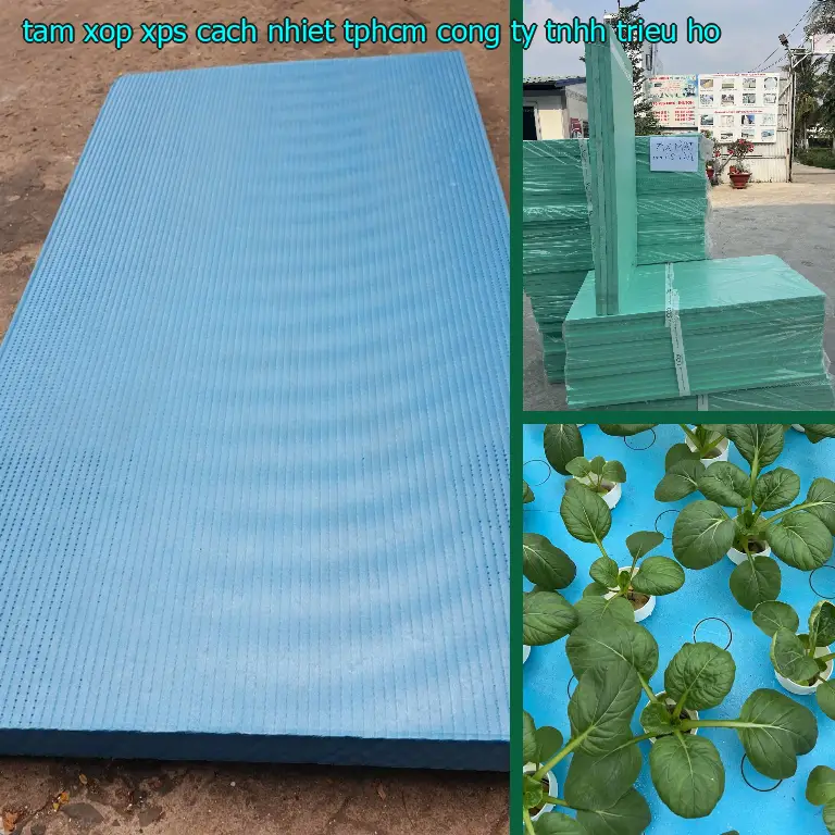 Tấm xốp XPS cách nhiệt TpHCM Công ty TNHH Triệu Hổ
