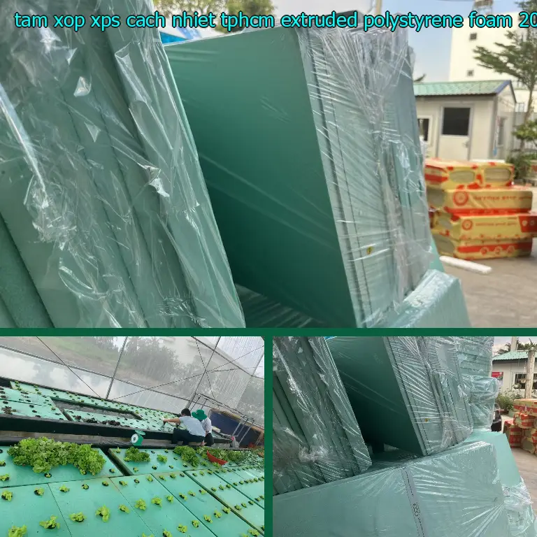 Ngày sản xuất tấm xốp XPS cách nhiệt TpHCM Extruded Polystyrene Foam: 2025-04-01