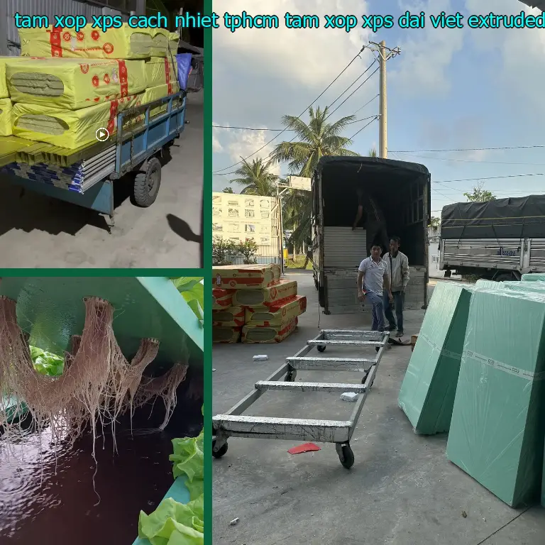 Chất liệu tấm xốp XPS cách nhiệt TpHCM Tấm xốp XPS Đại Việt: Extruded Polystyrene Foam Chất liệu tấm xốp XPS cách nhiệt TpHCM Tấm xốp XPS Đại Việt: Extruded Polystyrene Foam
