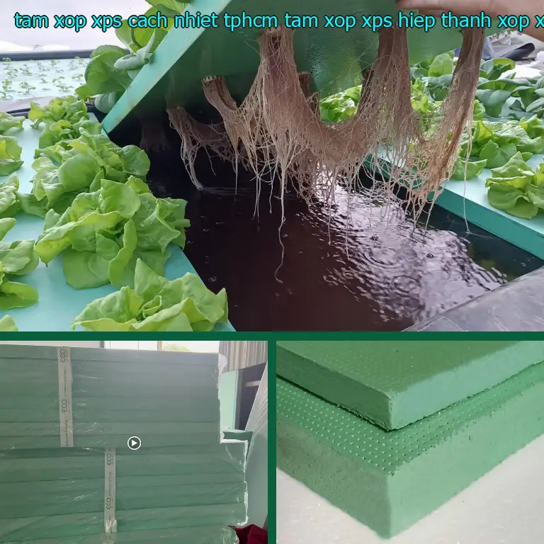 Danh mục tấm xốp XPS cách nhiệt TpHCM Tấm xốp XPS Hiệp Thành: Xốp XPS Foam Danh mục tấm xốp XPS cách nhiệt TpHCM Tấm xốp XPS Hiệp Thành: Xốp XPS Foam