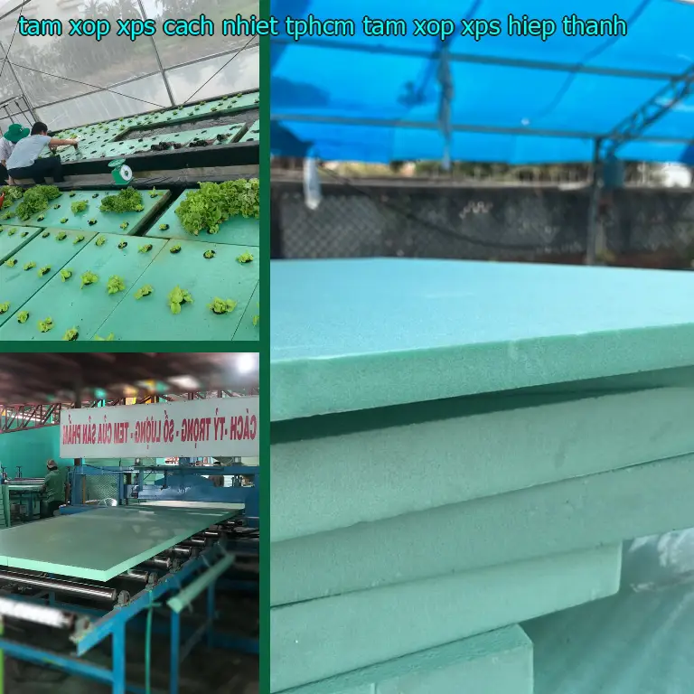 Tấm xốp XPS cách nhiệt TpHCM Tấm xốp XPS Hiệp Thành