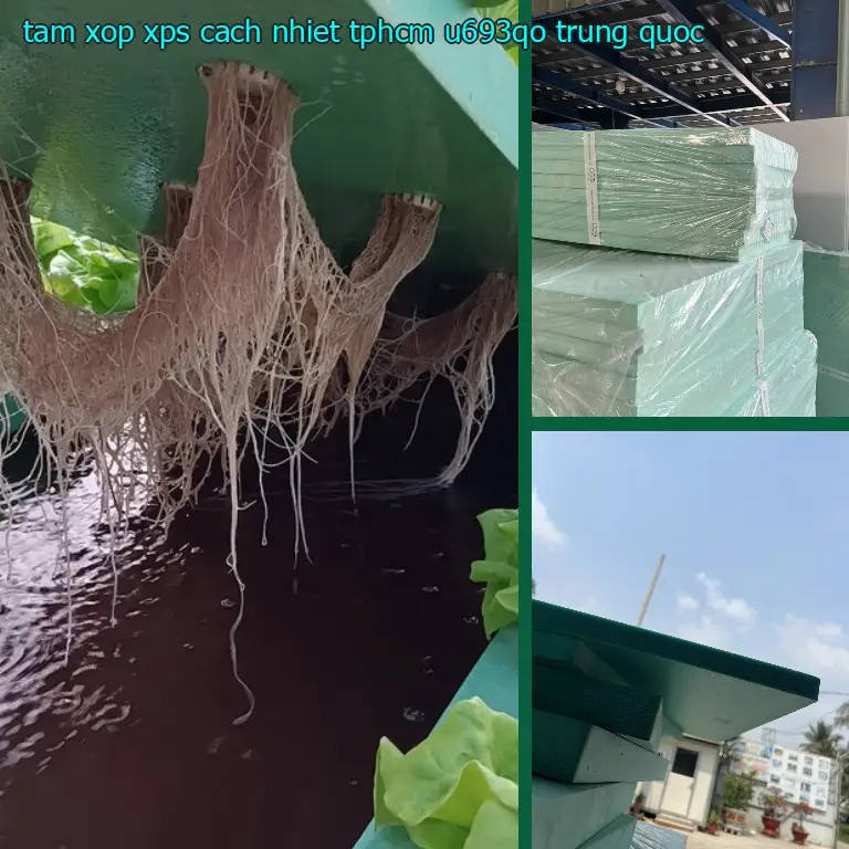 Xuất xứ tấm xốp XPS cách nhiệt TpHCM U693QO: Trung Quốc Xuất xứ tấm xốp XPS cách nhiệt TpHCM U693QO: Trung Quốc