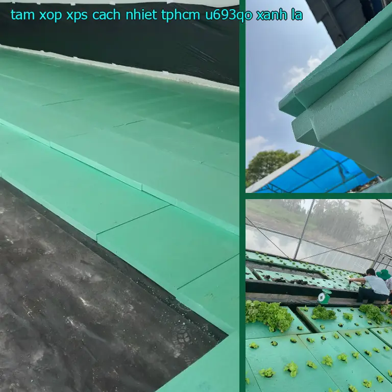 Màu sắc tấm xốp XPS cách nhiệt TpHCM U693QO: Xanh lá Màu sắc tấm xốp XPS cách nhiệt TpHCM U693QO: Xanh lá