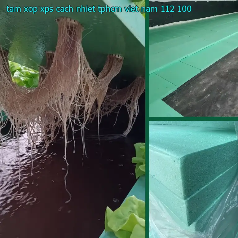 Giá tấm xốp XPS cách nhiệt TpHCM Viet Nam: 112.100₫