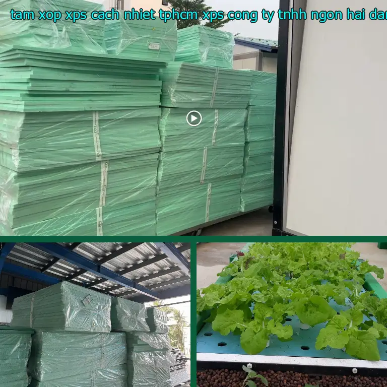 Nhà cung cấp tấm xốp XPS cách nhiệt TpHCM XPS: Công ty TNHH Ngọn Hải Đăng Nhà cung cấp tấm xốp XPS cách nhiệt TpHCM XPS: Công ty TNHH Ngọn Hải Đăng