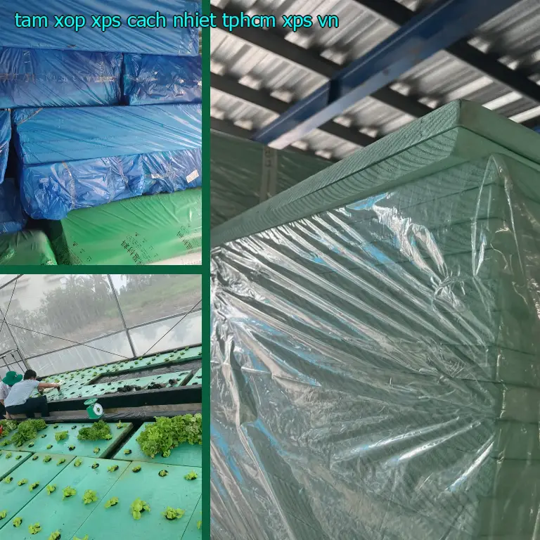 Xuất xứ tấm xốp XPS cách nhiệt TpHCM XPS: VN Xuất xứ tấm xốp XPS cách nhiệt TpHCM XPS: VN