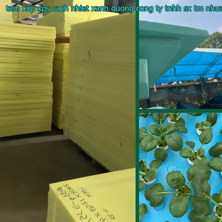Nhà sản xuất tấm xốp XPS cách nhiệt Xanh dương: Công ty TNHH SX TM nhựa Tiến Phong Nhà sản xuất tấm xốp XPS cách nhiệt Xanh dương: Công ty TNHH SX TM nhựa Tiến Phong