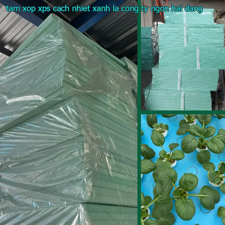 Nhà cung cấp tấm xốp XPS cách nhiệt Xanh lá: Công ty Ngọn Hải Đăng