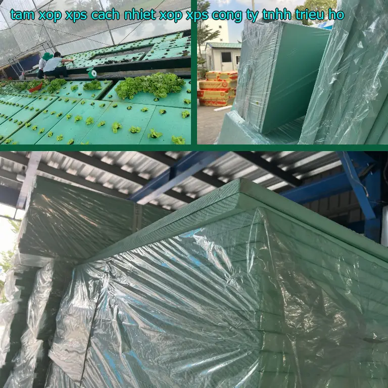 Nhà sản xuất tấm xốp XPS cách nhiệt Xốp XPS: Công ty TNHH Triệu Hổ Nhà sản xuất tấm xốp XPS cách nhiệt Xốp XPS: Công ty TNHH Triệu Hổ