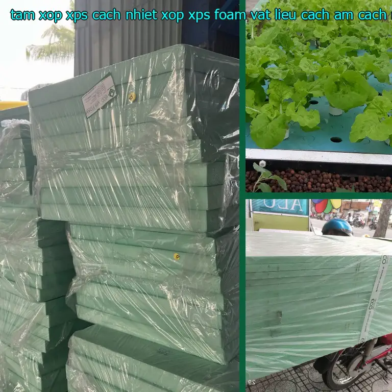 Nhà sản xuất tấm xốp XPS cách nhiệt Xốp XPS Foam: Vật liệu cách âm cách nhiệt Cát Tường