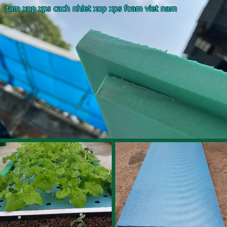 Xuất xứ tấm xốp XPS cách nhiệt Xốp XPS Foam: Việt Nam