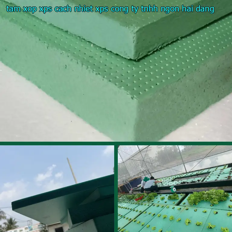 Nhà cung cấp tấm xốp XPS cách nhiệt XPS: Công ty TNHH Ngọn Hải Đăng Nhà cung cấp tấm xốp XPS cách nhiệt XPS: Công ty TNHH Ngọn Hải Đăng