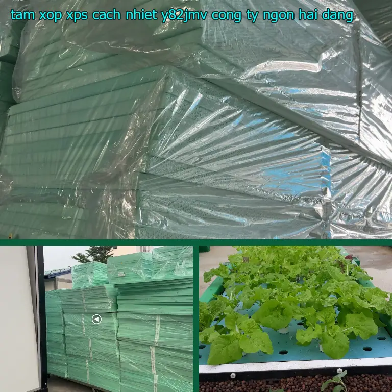 Nhà cung cấp tấm xốp XPS cách nhiệt Y82JMV: Công ty Ngọn Hải Đăng Nhà cung cấp tấm xốp XPS cách nhiệt Y82JMV: Công ty Ngọn Hải Đăng