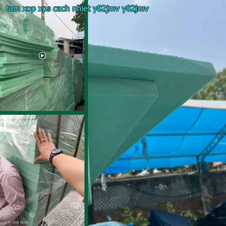 Model tấm xốp XPS cách nhiệt Y82JMV: Y82JMV Model tấm xốp XPS cách nhiệt Y82JMV: Y82JMV