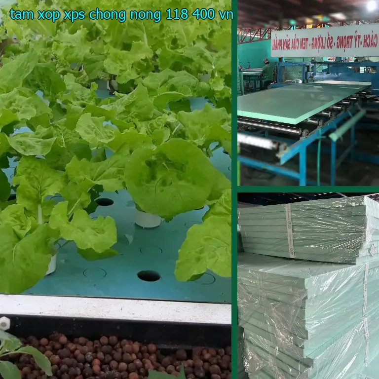 Xuất xứ tấm xốp XPS chống nóng 118.400₫: VN Xuất xứ tấm xốp XPS chống nóng 118.400₫: VN