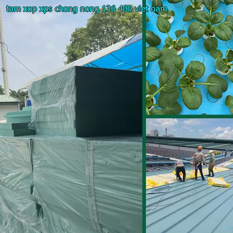 Xuất xứ tấm xốp XPS chống nóng 136.400₫: Viet Nam Xuất xứ tấm xốp XPS chống nóng 136.400₫: Viet Nam