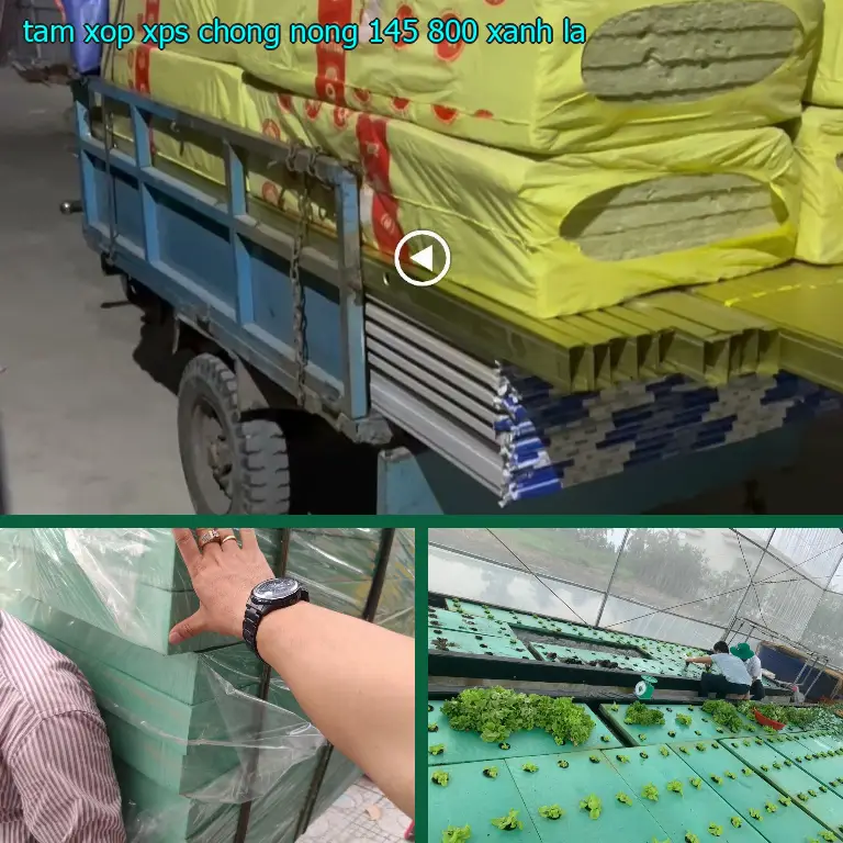 Màu sắc tấm xốp XPS chống nóng 145.800₫: Xanh lá Màu sắc tấm xốp XPS chống nóng 145.800₫: Xanh lá