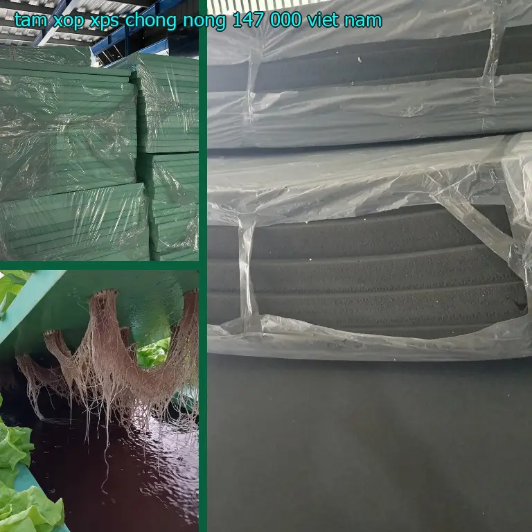 Xuất xứ tấm xốp XPS chống nóng 147.000₫: Viet Nam