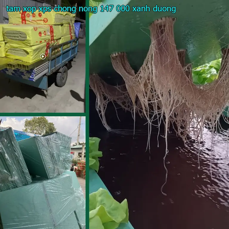 Màu sắc tấm xốp XPS chống nóng 147.000₫: Xanh dương