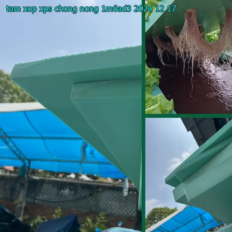 Ngày sản xuất tấm xốp XPS chống nóng 1M6AD3: 2024-12-17 Ngày sản xuất tấm xốp XPS chống nóng 1M6AD3: 2024-12-17