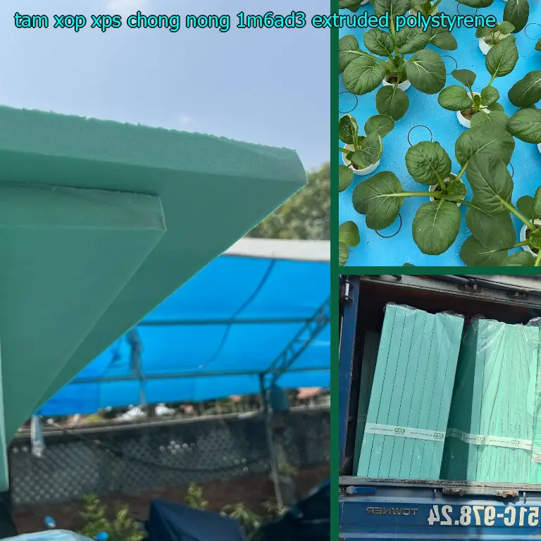 Chất liệu tấm xốp XPS chống nóng 1M6AD3: Extruded Polystyrene Chất liệu tấm xốp XPS chống nóng 1M6AD3: Extruded Polystyrene