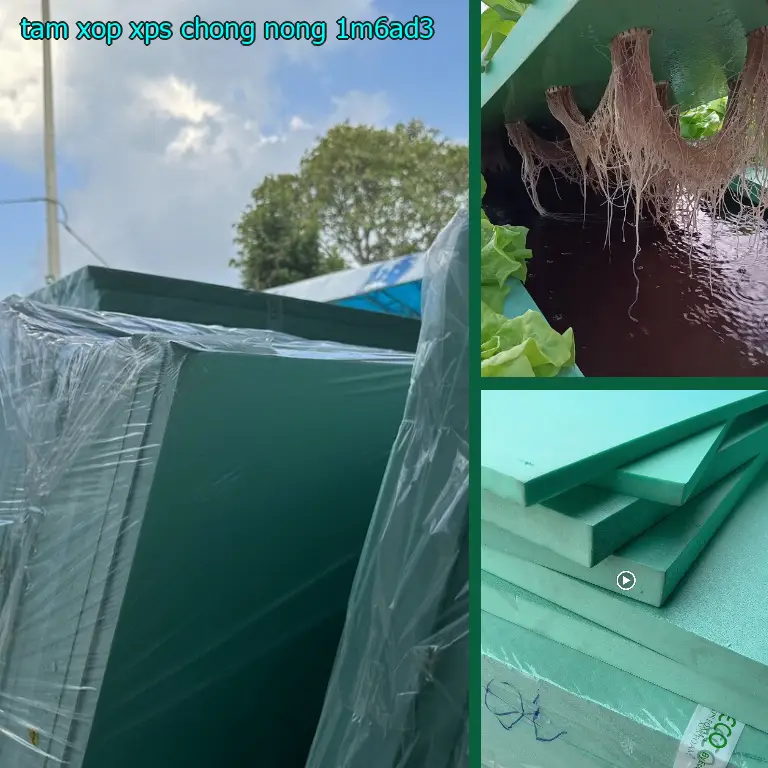 Tấm xốp XPS chống nóng 1M6AD3